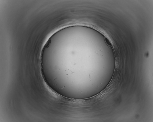 X0000102461532200808080932