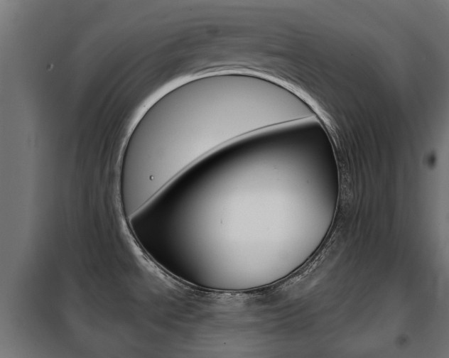 X0000102461534200808080932