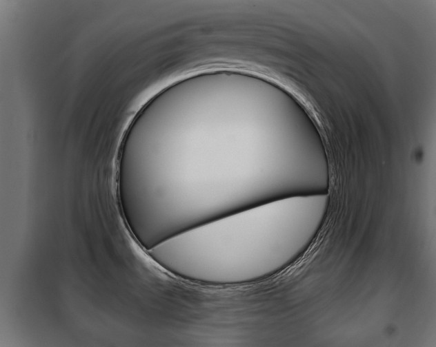 X0000102461535200808080932