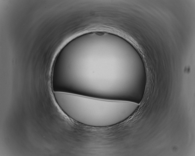 X0000102461536200808080932