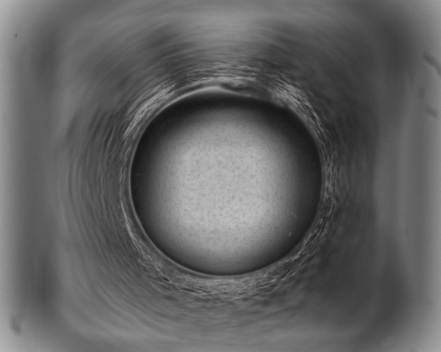 X0000102460001200808081237