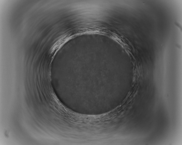 X0000102460002200808081237