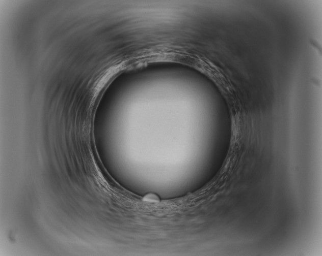 X0000102460003200808081237