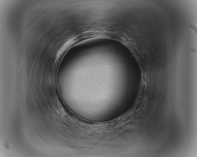 X0000102460004200808081237