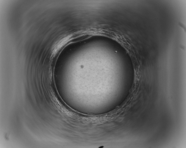 X0000102460005200808081237