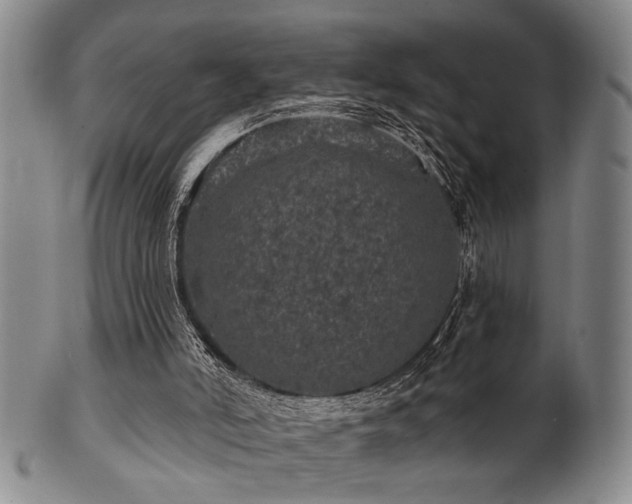 X0000102460006200808081237