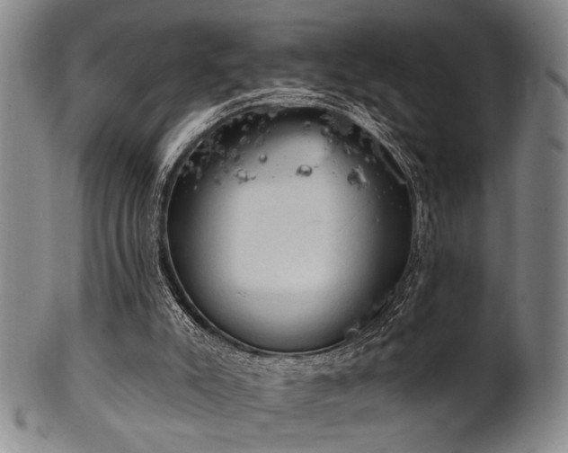 X0000102460007200808081237