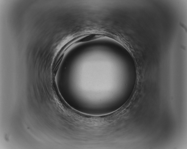 X0000102460008200808081237