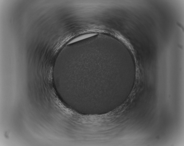 X0000102460009200808081237