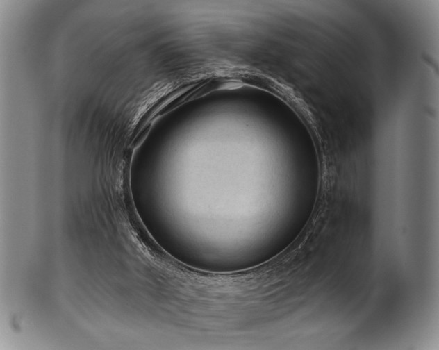 X0000102460010200808081237