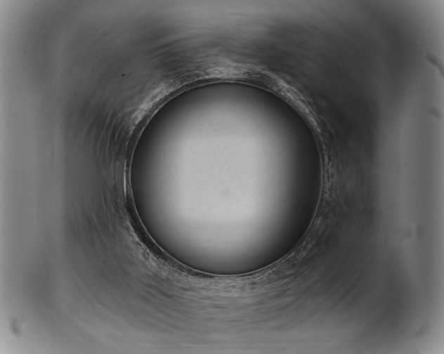 X0000102460011200808081237