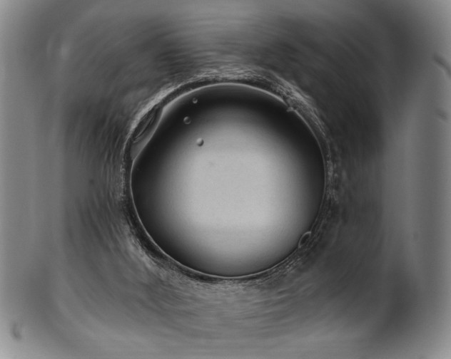 X0000102460012200808081237