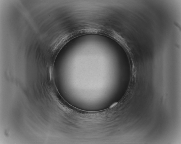 X0000102460013200808081237