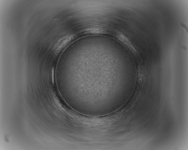 X0000102460014200808081237