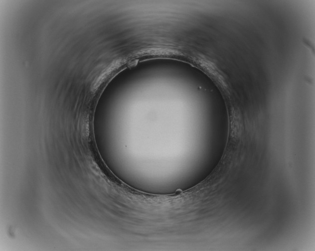 X0000102460015200808081237