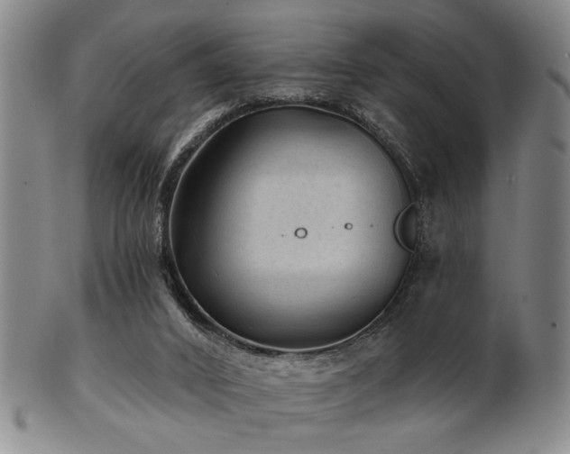 X0000102460016200808081237