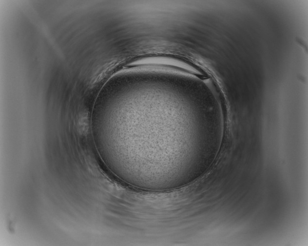 X0000102460017200808081237