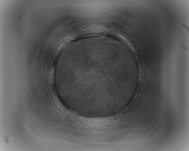 X0000102460018200808081237