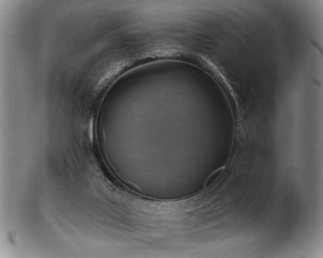 X0000102460019200808081237