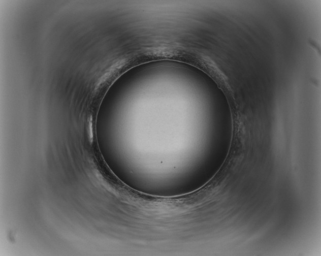 X0000102460020200808081237