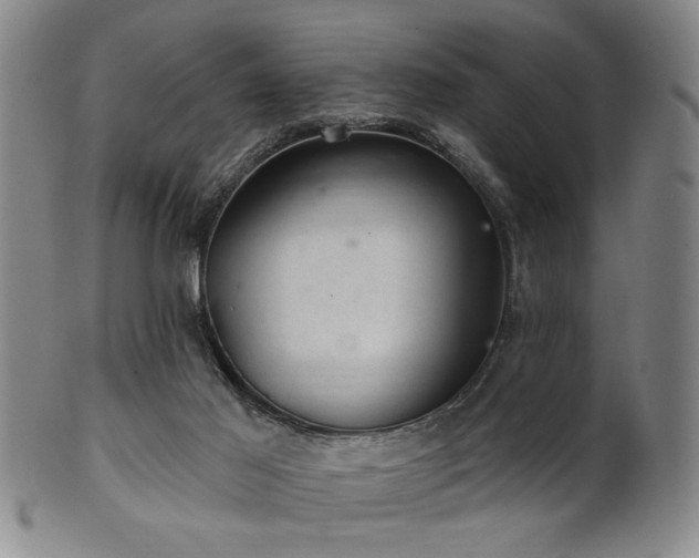 X0000102460021200808081237