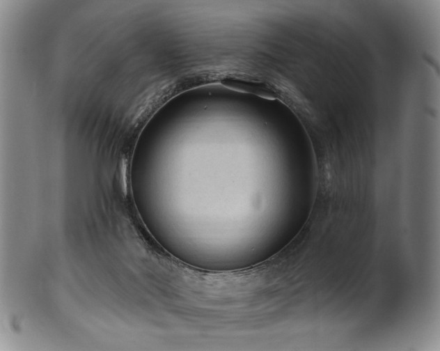 X0000102460022200808081237