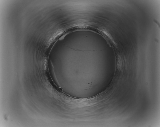 X0000102460023200808081237