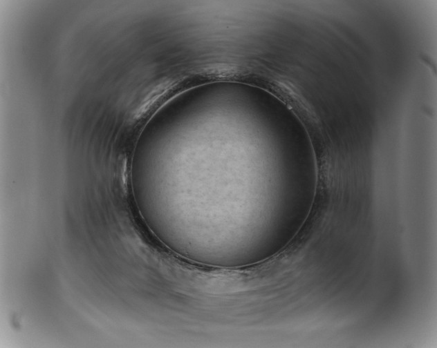 X0000102460024200808081237