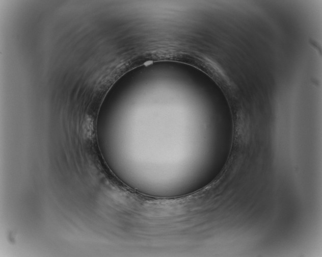 X0000102460025200808081237