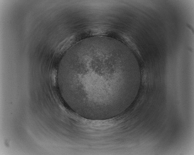 X0000102460026200808081237