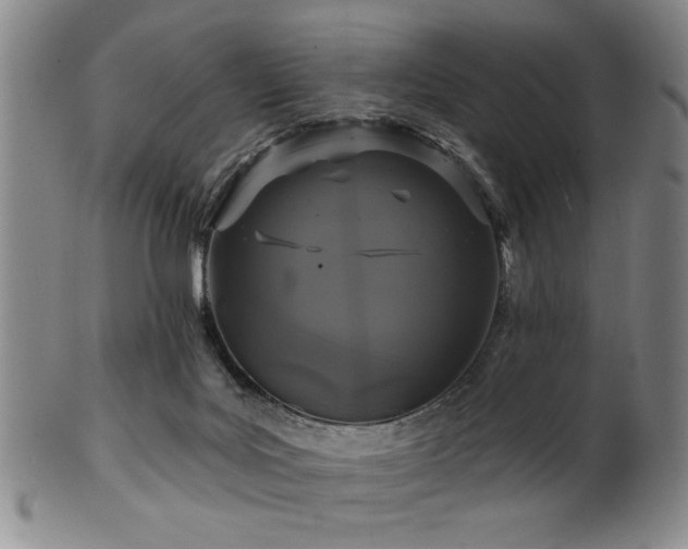 X0000102460027200808081237