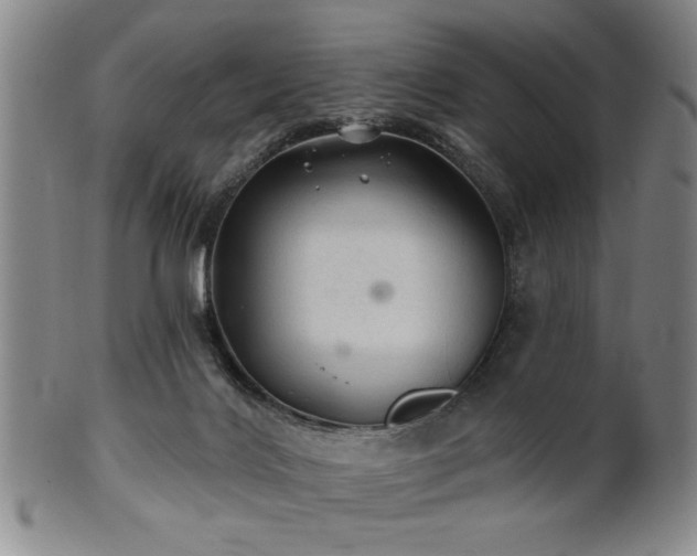 X0000102460028200808081237