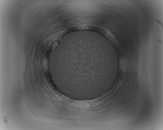 X0000102460029200808081237