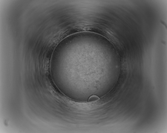 X0000102460030200808081237