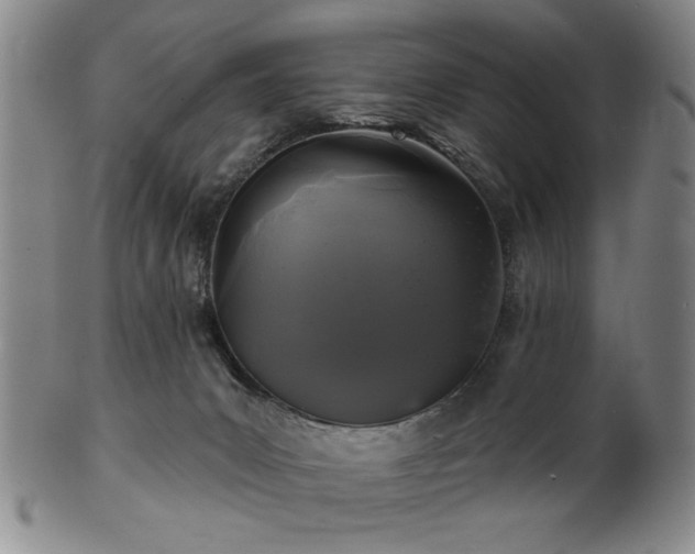 X0000102460031200808081237