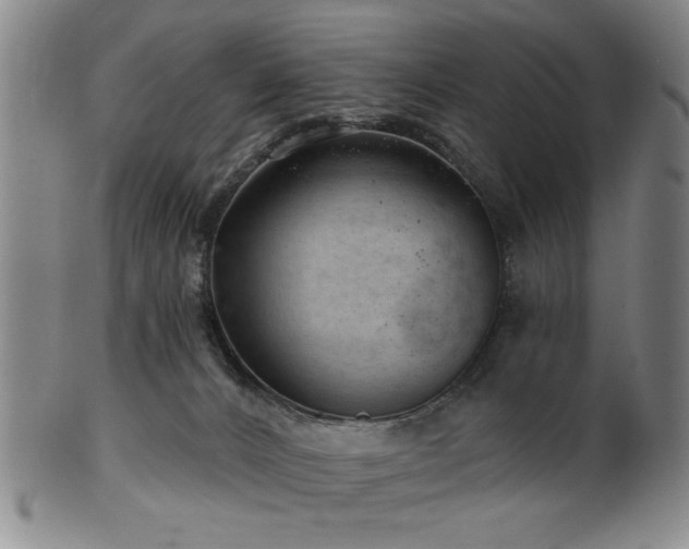 X0000102460032200808081237