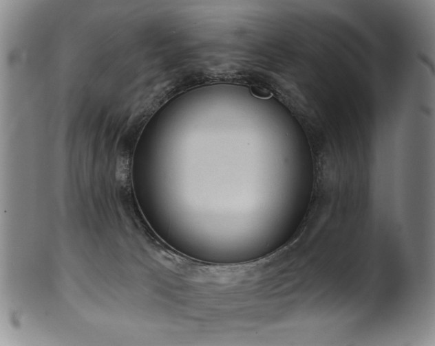 X0000102460033200808081237