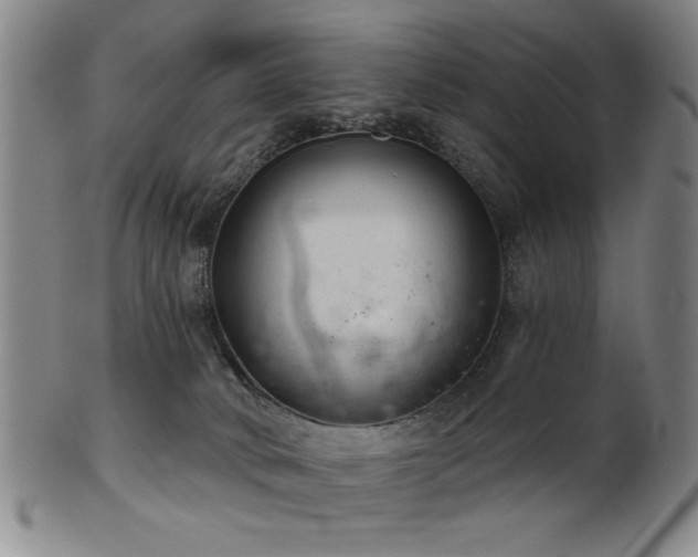 X0000102460034200808081237