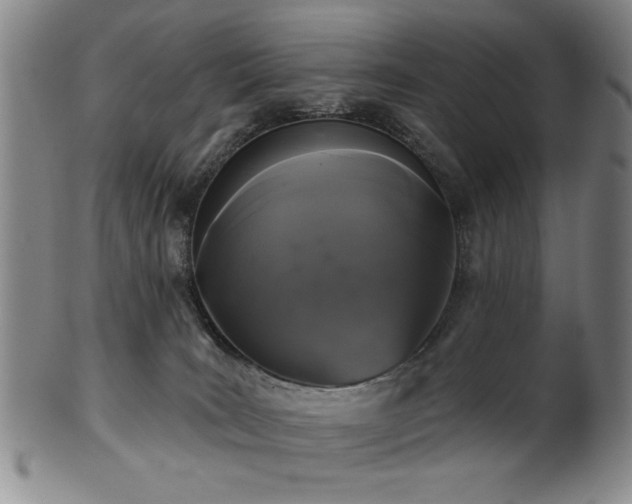 X0000102460035200808081237