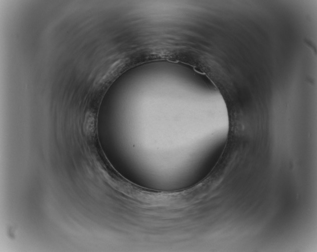 X0000102460036200808081237