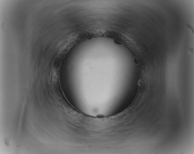 X0000102460037200808081237