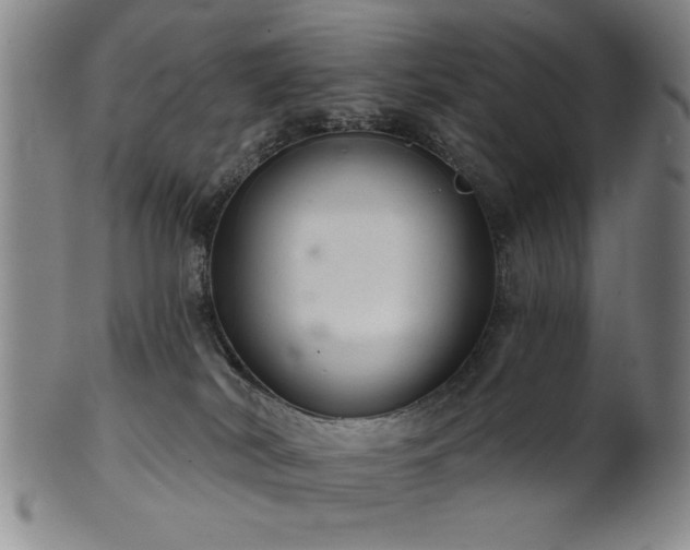 X0000102460038200808081237