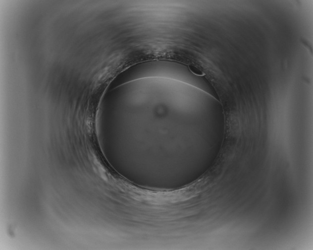 X0000102460039200808081237