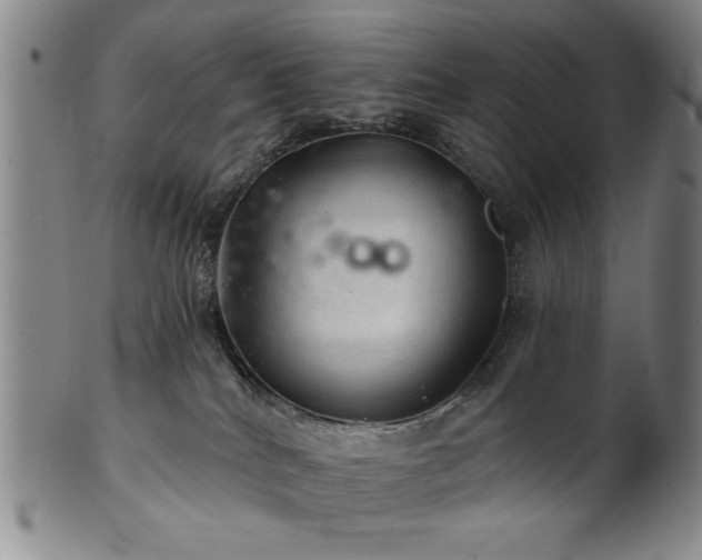 X0000102460040200808081237