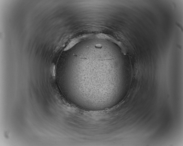 X0000102460041200808081237