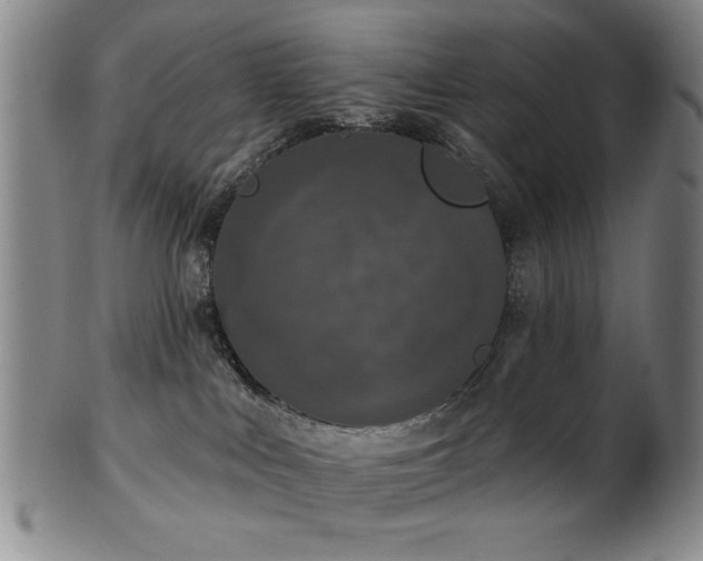 X0000102460043200808081237