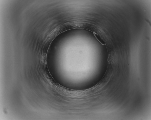 X0000102460044200808081237