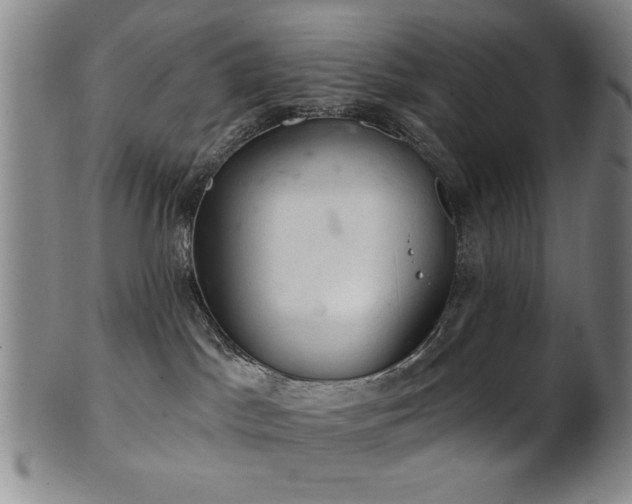 X0000102460045200808081237