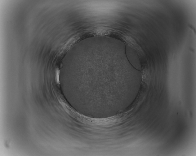 X0000102460046200808081237