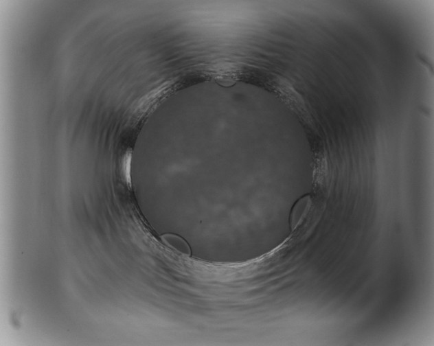 X0000102460047200808081237